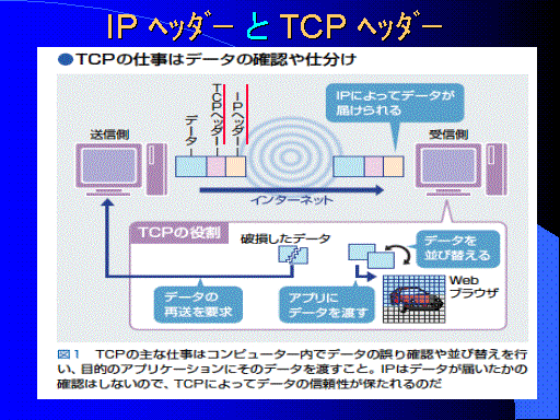 IP ͯް  TCP ͯް