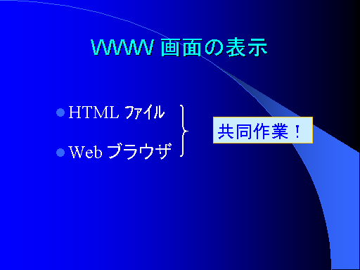 WWW ʂ̕\