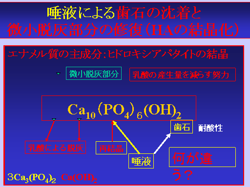 tɂ鎕΂̒ED̏CiHǍj