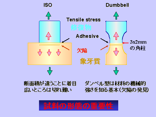 Dumbbell