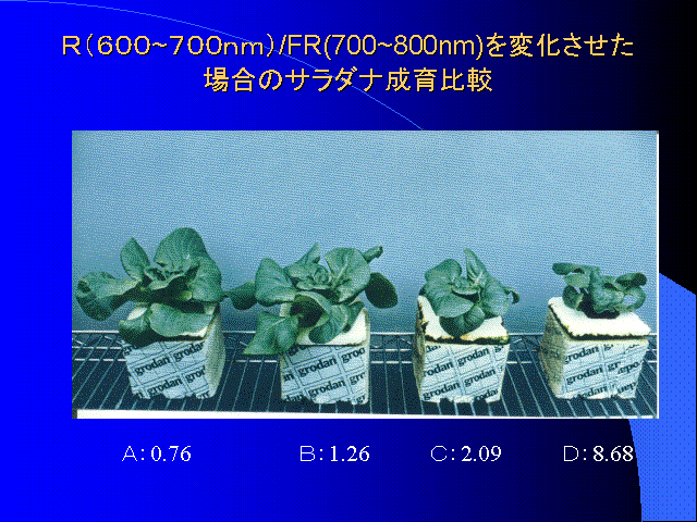 qiUOO~VOOj/FR(700~800nm)ωꍇ̃T_ir