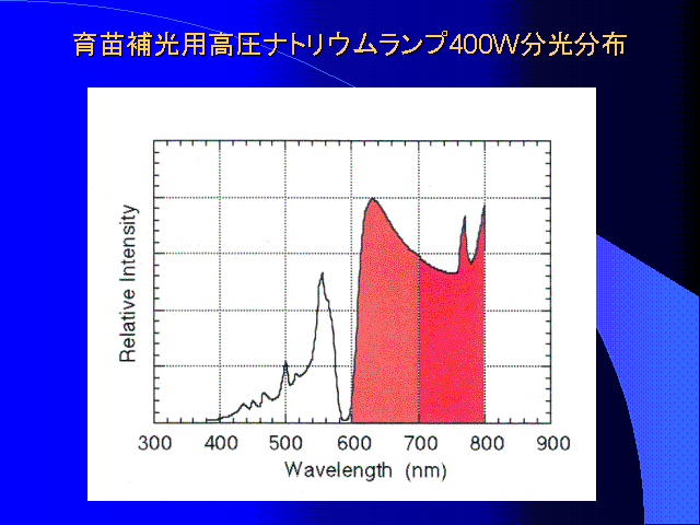 cpigEv400Wz