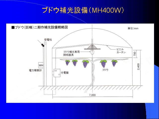 uhEݔiMH400Wj