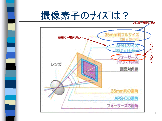 Bfq̻ނ́H