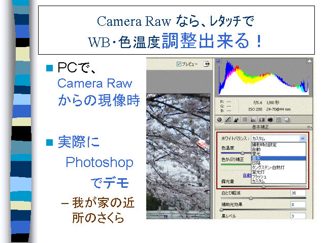 Camera Raw ȂA  WBEFxoI