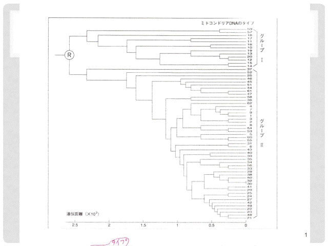 MTDNA^͂Ŋώ@ꂽn
uDNAlސiwv󗈑@