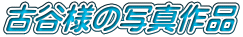 ÒJl̎ʐ^i