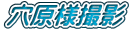 lBe